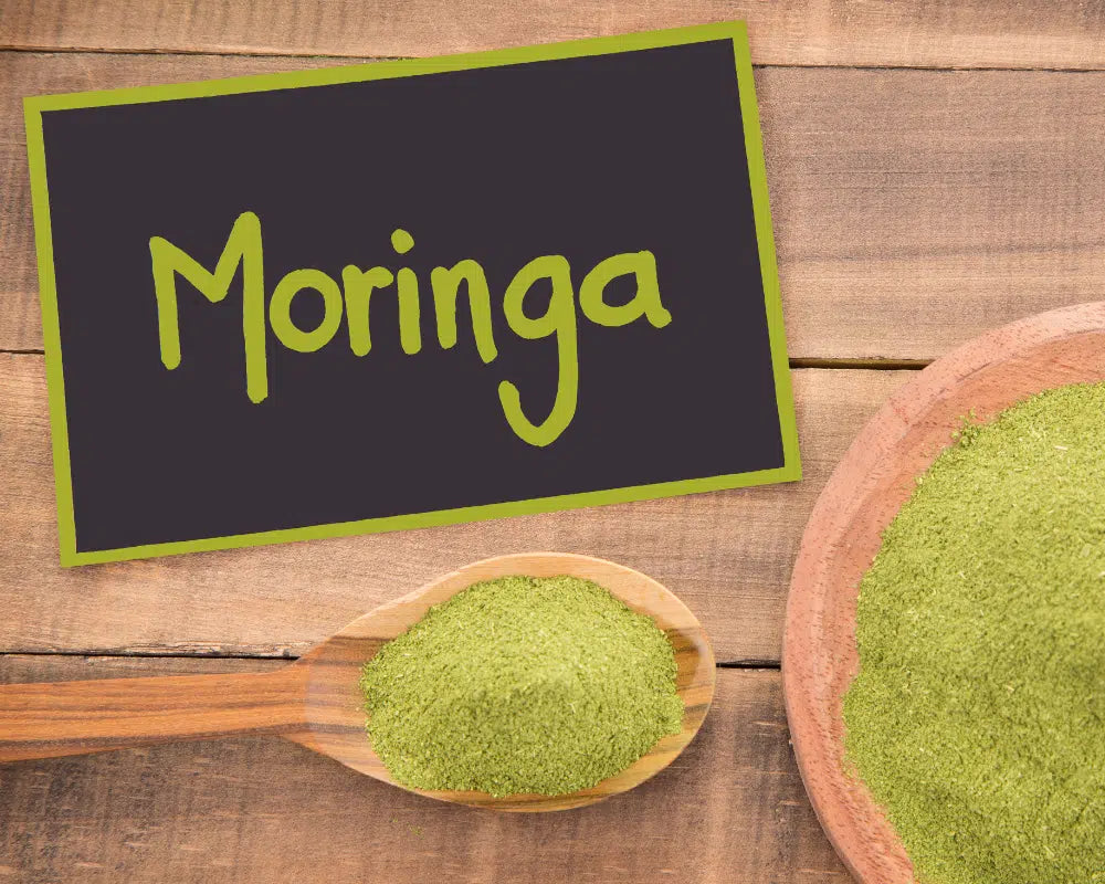 За какво се използва прахът от Moringa Oleifera?